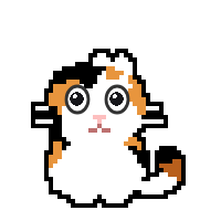 Calico cat
