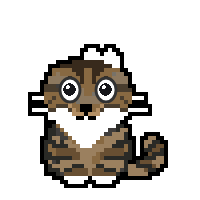Mackerel tabby cat
